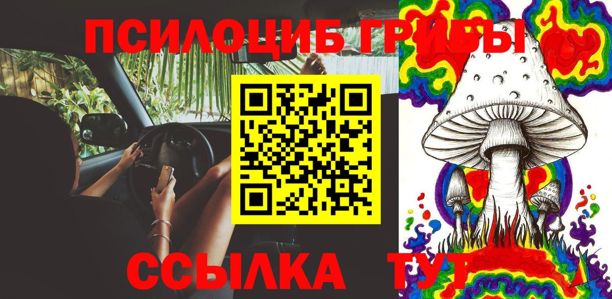 Псилоцибиновые грибы мухоморы Сосновый Бор