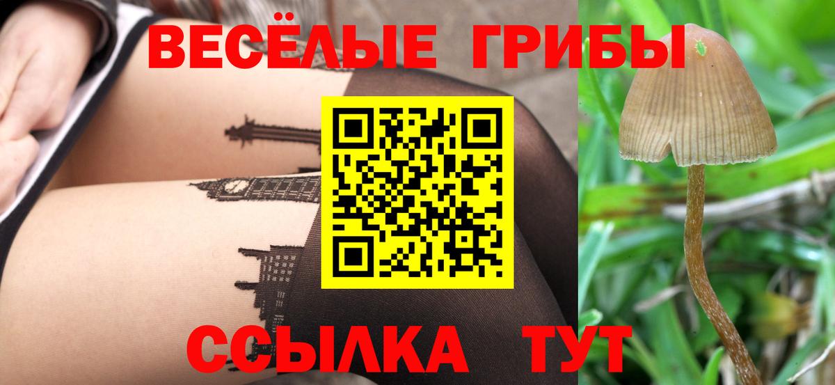 где купить наркоту  Псилоцибиновые грибы GOLDEN TEACHER  Галлюциногенные грибы мицелий  Вход с VPN  Сосновый Бор 